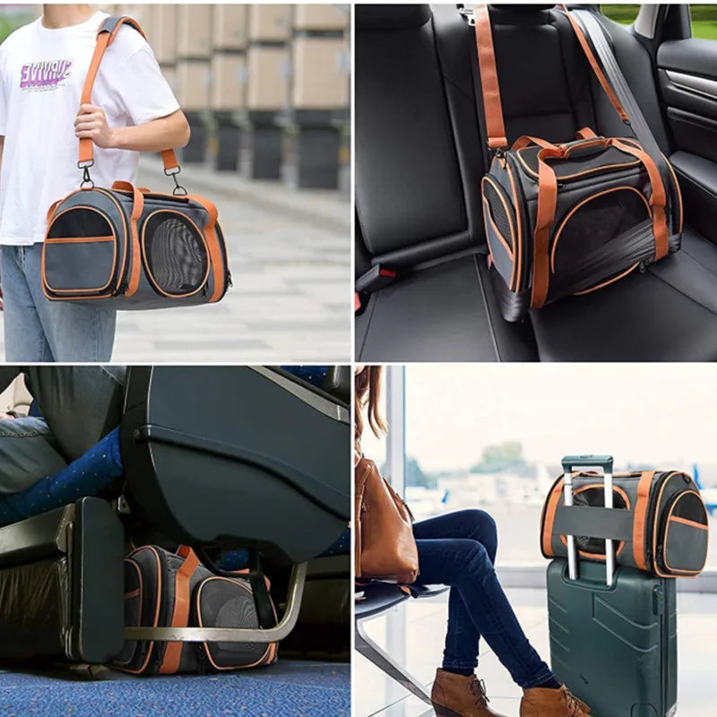 Cat Carrier TSA Airline Approved with Ventilation for Small Medium Cats Dogs Puppies with Big Space 5 Mesh Windows 4 Open Doors