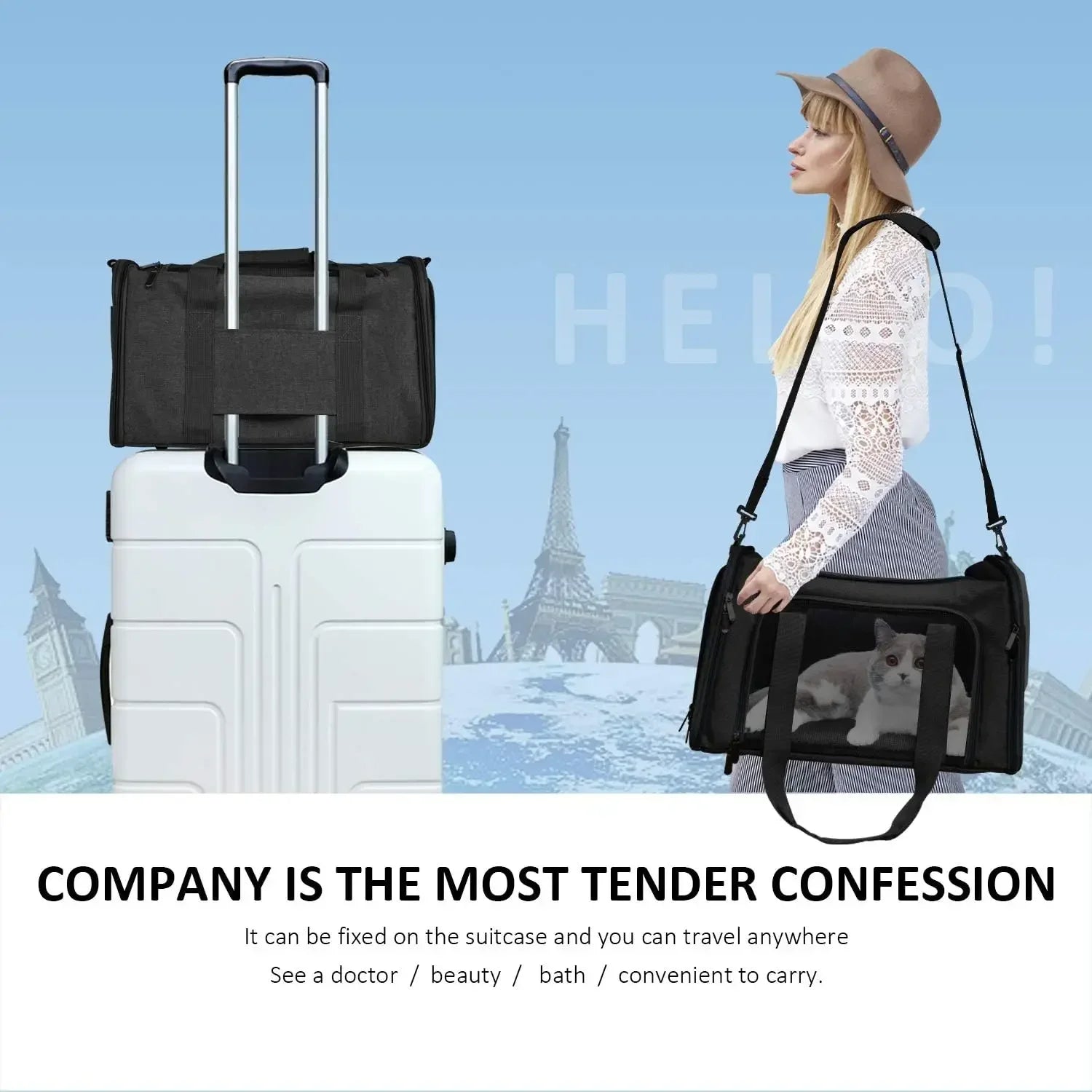 Cat Carriers Dog Carrier Pet for Small Medium Cats Dogs Puppies up to 15 Lbs, TSA Airline Approved Soft Sided