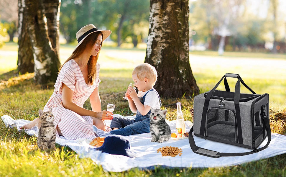 Dog Cat Carrier Bag Soft Side Travel Carriers TSA Airline Approved Transport Medium Size Pet Moving Backpack Bag Accessories