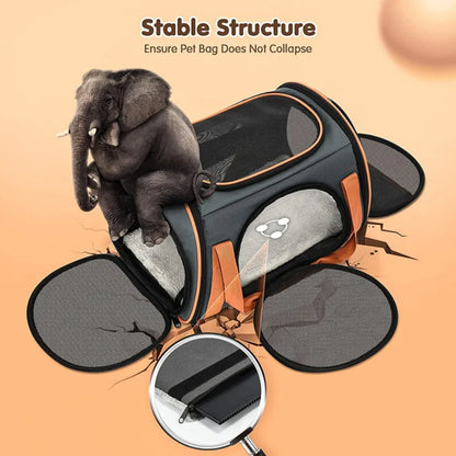 Cat Carrier TSA Airline Approved with Ventilation for Small Medium Cats Dogs Puppies with Big Space 5 Mesh Windows 4 Open Doors