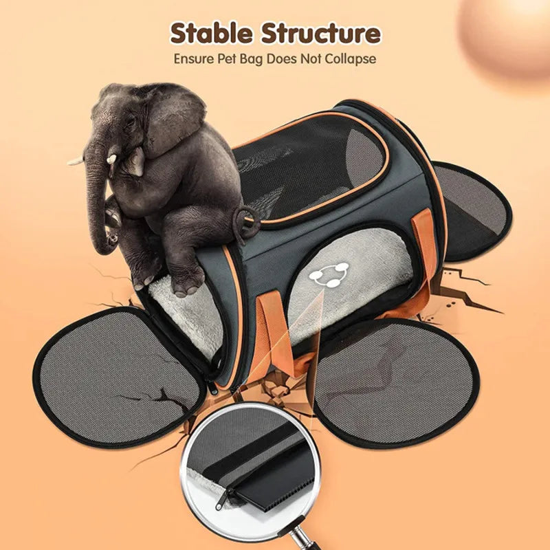 Cat Carrier TSA Airline Approved with Ventilation for Small Medium Cats Dogs Puppies with Big Space 5 Mesh Windows 4 Open Doors